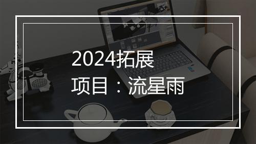 2024拓展项目：流星雨