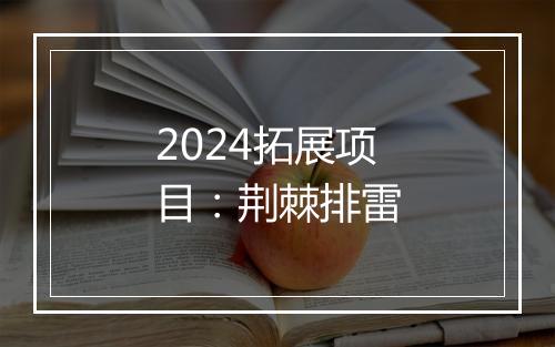2024拓展项目：荆棘排雷