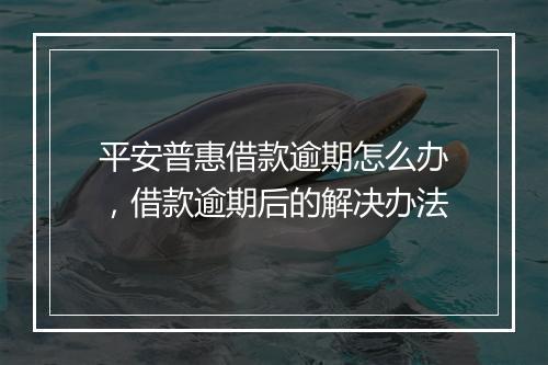 平安普惠借款逾期怎么办，借款逾期后的解决办法