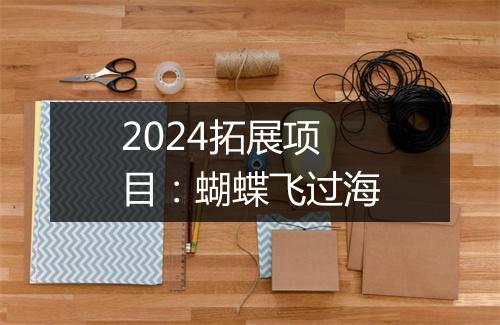 2024拓展项目：蝴蝶飞过海