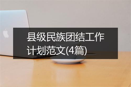 县级民族团结工作计划范文(4篇)