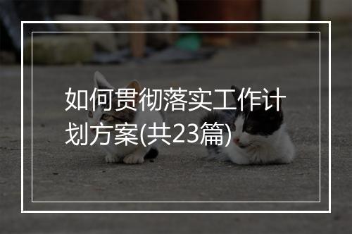 如何贯彻落实工作计划方案(共23篇)