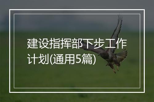 建设指挥部下步工作计划(通用5篇)