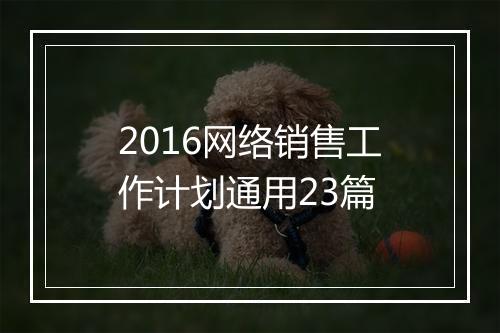 2016网络销售工作计划通用23篇