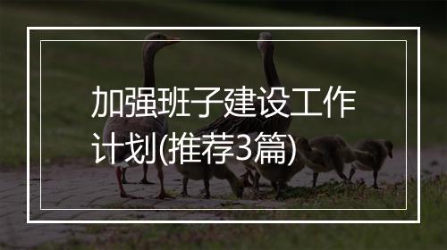 加强班子建设工作计划(推荐3篇)