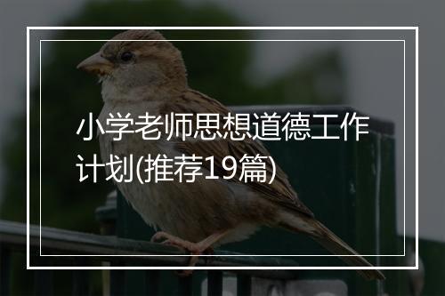 小学老师思想道德工作计划(推荐19篇)