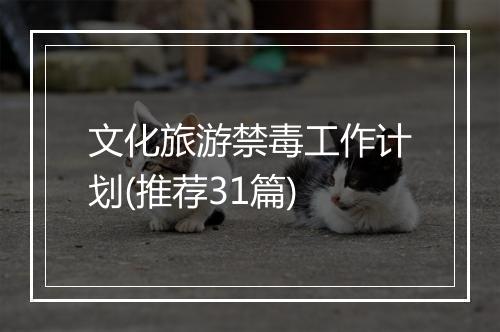 文化旅游禁毒工作计划(推荐31篇)