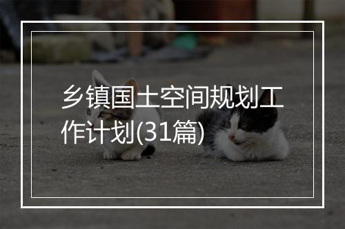 乡镇国土空间规划工作计划(31篇)