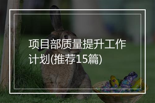 项目部质量提升工作计划(推荐15篇)