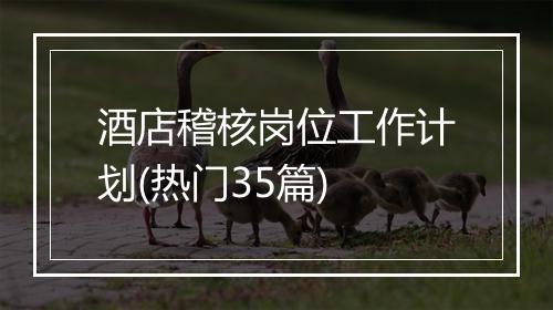酒店稽核岗位工作计划(热门35篇)