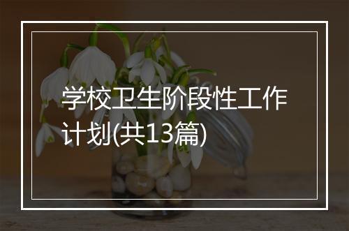 学校卫生阶段性工作计划(共13篇)