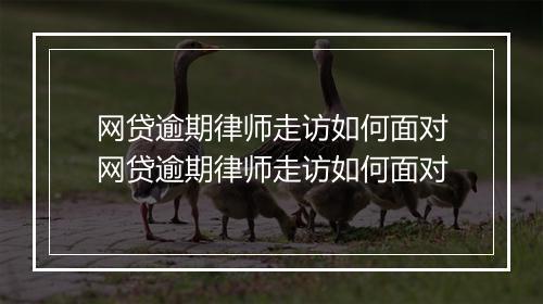 网贷逾期律师走访如何面对网贷逾期律师走访如何面对