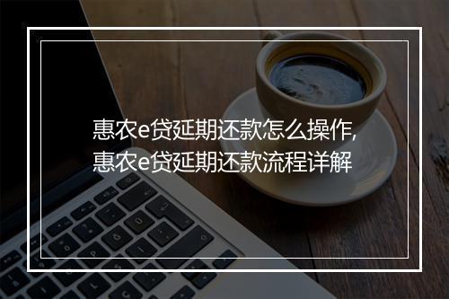 惠农e贷延期还款怎么操作,惠农e贷延期还款流程详解