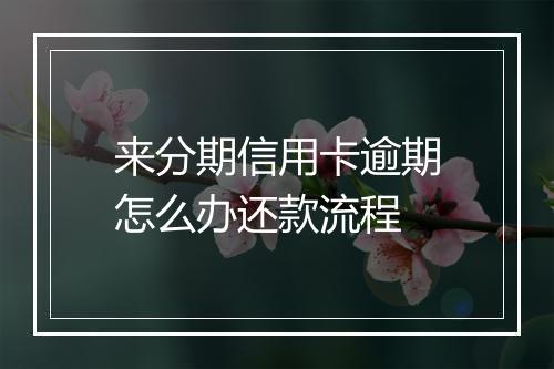 来分期信用卡逾期怎么办还款流程