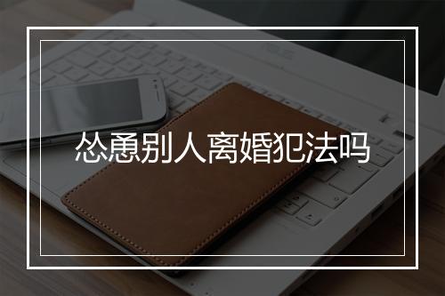 怂恿别人离婚犯法吗