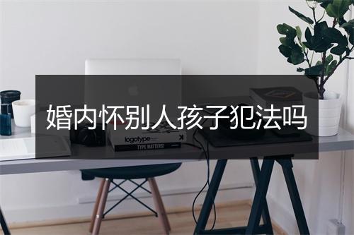 婚内怀别人孩子犯法吗