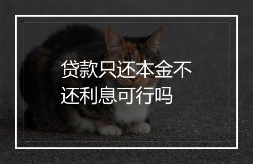 贷款只还本金不还利息可行吗