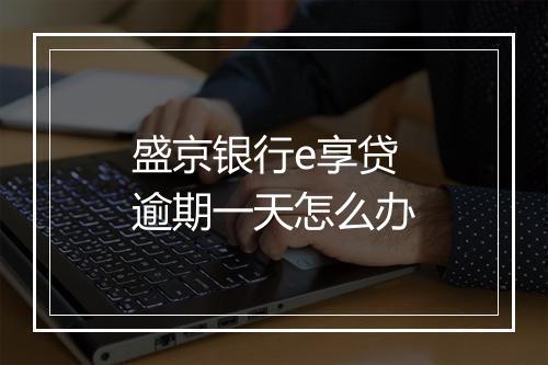 盛京银行e享贷逾期一天怎么办