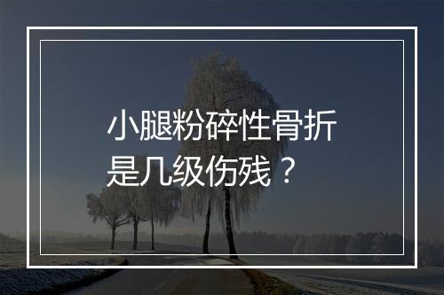 小腿粉碎性骨折是几级伤残？