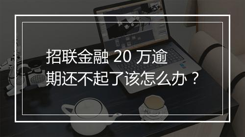 招联金融 20 万逾期还不起了该怎么办？