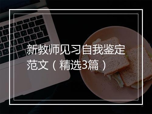 新教师见习自我鉴定范文（精选3篇）