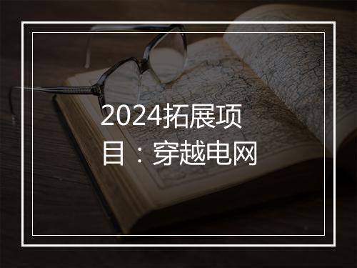 2024拓展项目：穿越电网