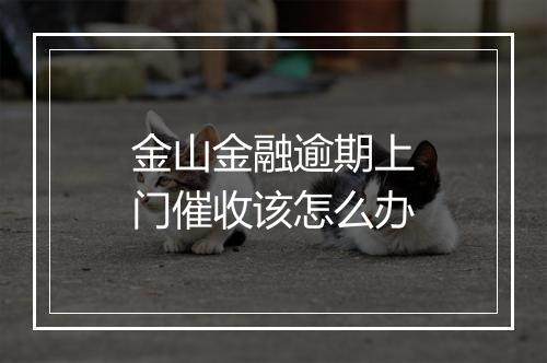 金山金融逾期上门催收该怎么办