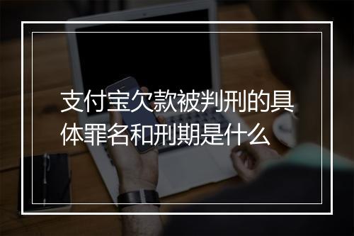 支付宝欠款被判刑的具体罪名和刑期是什么