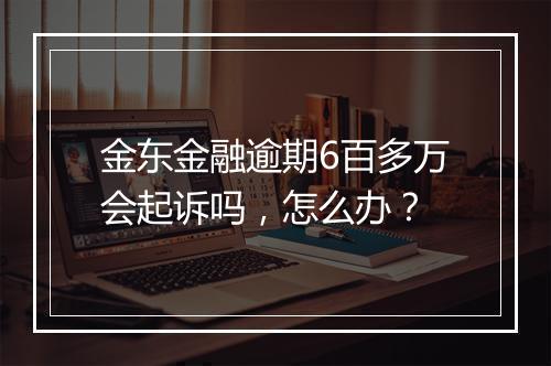 金东金融逾期6百多万会起诉吗，怎么办？