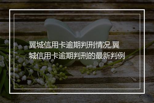 翼城信用卡逾期判刑情况,翼城信用卡逾期判刑的最新判例