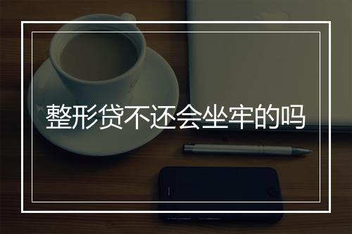 整形贷不还会坐牢的吗