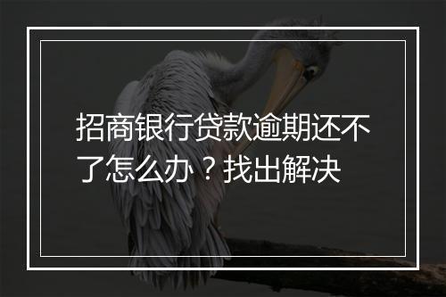 招商银行贷款逾期还不了怎么办？找出解决