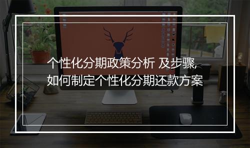 个性化分期政策分析 及步骤,如何制定个性化分期还款方案