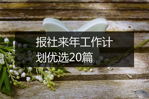 报社来年工作计划优选20篇