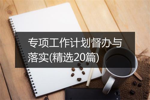 专项工作计划督办与落实(精选20篇)
