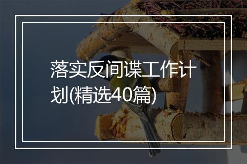 落实反间谍工作计划(精选40篇)