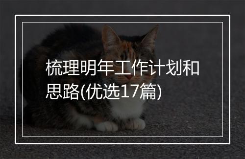 梳理明年工作计划和思路(优选17篇)