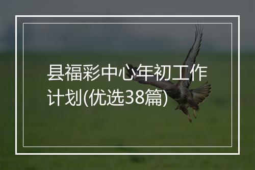 县福彩中心年初工作计划(优选38篇)