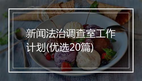 新闻法治调查室工作计划(优选20篇)