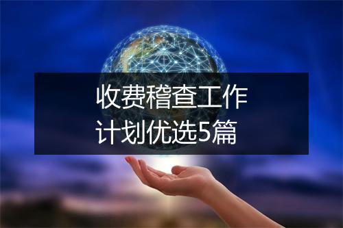 收费稽查工作计划优选5篇