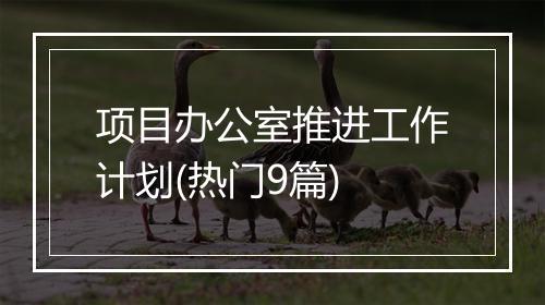 项目办公室推进工作计划(热门9篇)