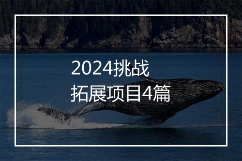2024挑战拓展项目4篇