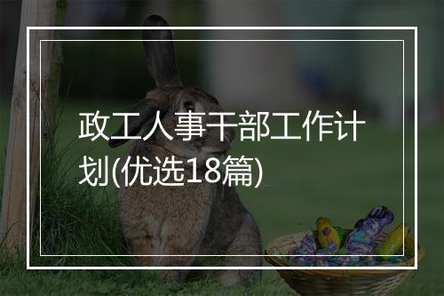 政工人事干部工作计划(优选18篇)