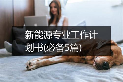 新能源专业工作计划书(必备5篇)