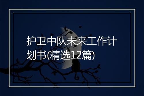 护卫中队未来工作计划书(精选12篇)