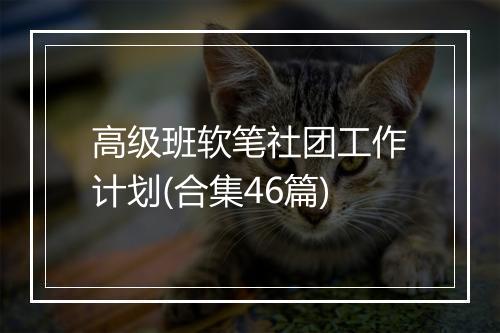 高级班软笔社团工作计划(合集46篇)