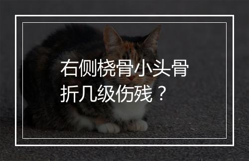 右侧桡骨小头骨折几级伤残？