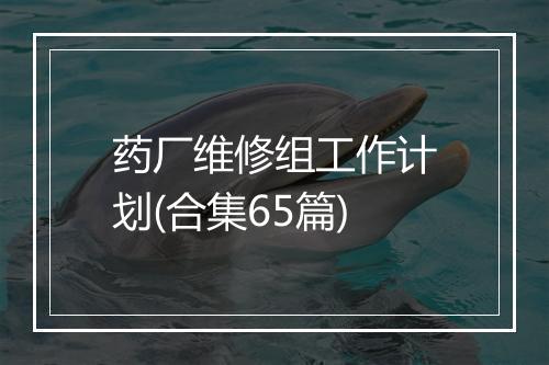 药厂维修组工作计划(合集65篇)