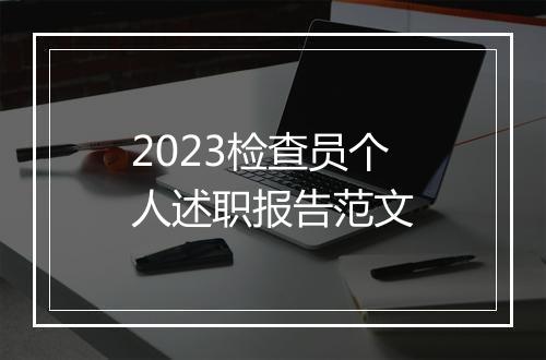 2023检查员个人述职报告范文