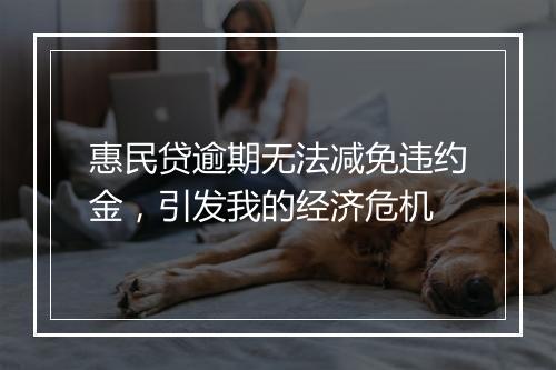 惠民贷逾期无法减免违约金，引发我的经济危机
